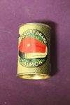 Parsley Brand Salmon Money Box Tin