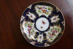 Royal  Blue   Ground Cup and Saucer Painted Exotic Birds By CJohnson C1917