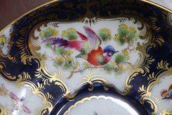 Royal  Blue   Ground Cup and Saucer Painted Exotic Birds By CJohnson C1917