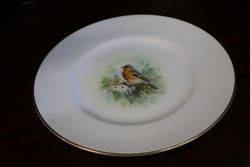 Royal Worcester Signed Porcelain Bird Plate #