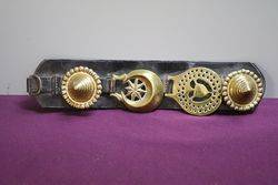 Set Of 4 Horse Brasses On Leather Strap 