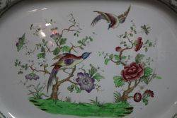 Late Victorian Copeland Spode Meat Platter andquotChelsea Birdandquot 