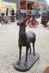 Life size Cast Iron Deer