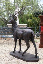 Life size Cast Iron Deer