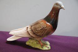 Beswick Pigeon  