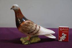 Beswick Pigeon  