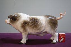 19th Century German Porcelain Wild Boar Bavaria  C1880 