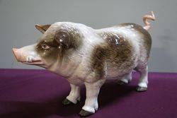 19th Century German Porcelain Wild Boar Bavaria  C1880 