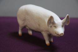 Beswick Pig Sow CH Wall Queen 40th 