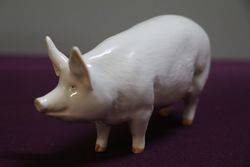 Beswick Pig Sow CH Wall Queen 40th 