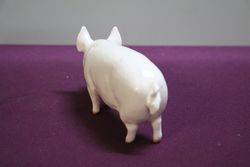 Beswick Pig Sow CH Wall Queen 40th 