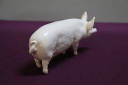 Beswick Pig Sow CH Wall Queen 40th 