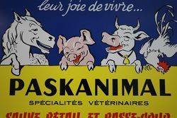 Veterinary Paskanimal Aluminium Advertising Sign 