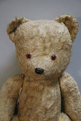 Early 20th Century Plush Bear With Jointed Body  