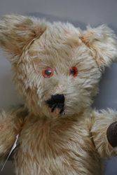 Early 20th Century Plush Bear With Jointed Body  