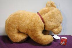 Pedigree Plush Cub Bear  