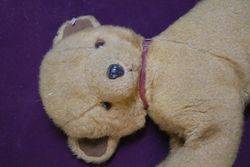 Pedigree Plush Cub Bear  