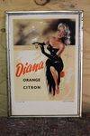 Diana Orange Citron Pictorial Display Card.
