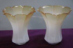 Set Of  Vintage Glass Lamp Shades  