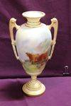 Rare Royal Worcester  By Harry Stinton C1910