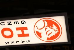 Slim Line Holden Genuine Parts Light Box 