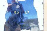 Antique Black Cat Cigarette  Enamel Sign