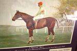 Hennessys Cognac Brandy Framed Advertising Card