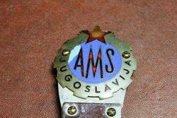 AMS Badge