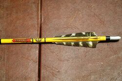 A Vintage Archery Arrow Case with 9 Arrows