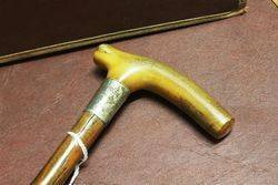 Antique Horn Handle And Blackthorne Walking Stick