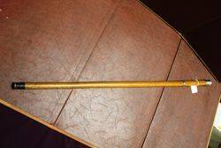 Antique Malaca Silver Top Cane