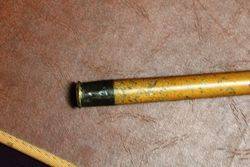 Antique Malaca Silver Top Cane