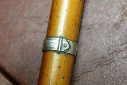 Antique Malaca Silver Top Cane