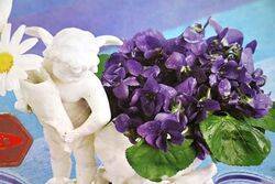 Arnotts Biscuit Tin Violets in White Vase