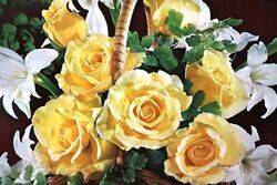Arnotts Biscuit Tin  Yellow Roses in Basket