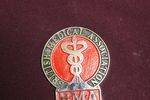 British Medical Association Car Club Badge