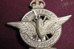 Civil Service Motoring Association Car Badge