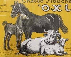 French OXI Pictorial Veterinary Advertising Card