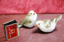 Pair of China Bird Salt and Pepper Shakers  