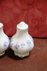 Pair of Royal Albert China Salt and Pepper Shakers 