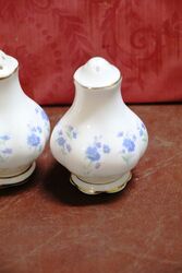 Pair of Royal Albert China Salt and Pepper Shakers 