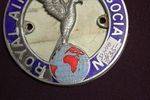 Royal Air Forces Association Car Club Badge