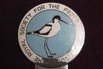 Royal Society Of Protecting Birds Car Badge