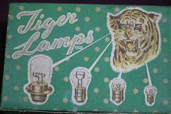 Tiger Lamps Pack Of 24 