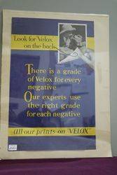 Kodak Velox Negative Film Cardboard Advertising Sign 