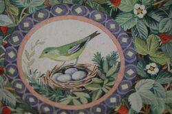 Vintage Bird on Nest Pictorial Biscuit Tin