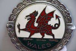 Wales Genuine Car Badge 