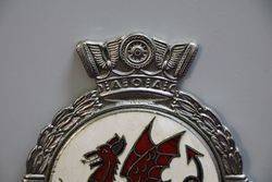 Wales Genuine Car Badge 