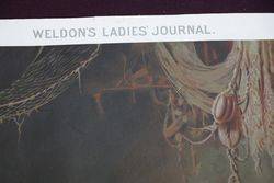Weldonand39s Ladies Journal Victorian Paint 