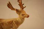 Wonderful Beswick Stag